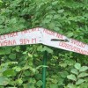 _zpohod__13_.jpg