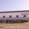 cvet_012.jpg