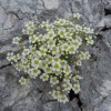 triglav_avgust_2019__09_.jpg