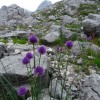 triglav_avgust_2019__07_.jpg