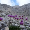 triglav_avgust_2019__04_.jpg