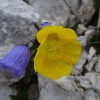 triglav_avgust_2019__05_.jpg