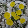 triglav_avgust_2019__03_.jpg