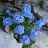 triglav_avgust_2019__39_.jpg