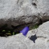 triglav_avgust_2019__46_.jpg