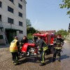 vaja_116.jpg