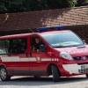 vaja_100.jpg