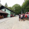 vaja_154.jpg