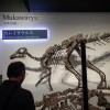 dinozaver.jpg