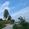 img_2133.jpg