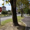 cankarjeva13.jpg