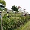 dsc03359_000.jpg