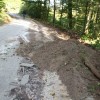 img_8260.jpg