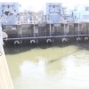 img_8196_000.jpg