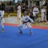 _zzzzzkarate__3_.jpg