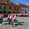 gimnazijanm_031.jpg