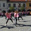 gimnazijanm_030.jpg