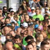 novomeski_polmaraton_015.jpg