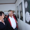 img_8062_000.jpg
