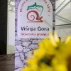 td_visnja_gora04.jpg
