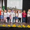 td_visnja_gora11.jpg