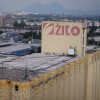 Družba žito
