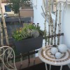 jesen, najlepši-balkon, murska-sobota, gregor-flisar, floristika