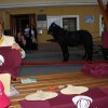img_8192_000.jpg