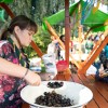 kostanjev-piknik, kostanji, park, murska-sobota