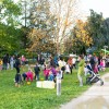 kostanjev-piknik, kostanji, park, murska-sobota