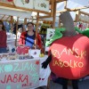 img_8387_000.jpg