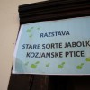 img_8425_000.jpg
