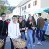img_8245_000.jpg