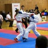 _zzzzzzzzkarate__20_.jpg
