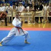 _zzzzzzzzkarate__15_.jpg