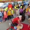img_2446_5_1_000.jpg