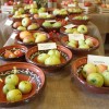 img_7452.jpg