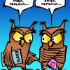 Sova odgovarja.JPG