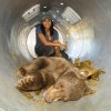dr. Rae Wynn-Grant_bear_t750x550.JPG