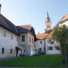 francis_039.jpg