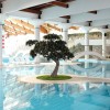 _terme__17_.jpg