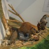 img_0138_71_1_000.jpg