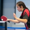 ping-pong, namizni-tenis, zelena-dvorana, puconci, kema-puconci, ntk-sobota, turnir