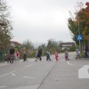 turopolje_010.jpg
