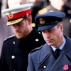 Princ Harry, princ William.jpg