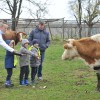 korovci, tradicionalni-slovenski-zajtrk, oš-cankova, kmetija-flisar-gjergjek