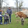 korovci, tradicionalni-slovenski-zajtrk, oš-cankova, kmetija-flisar-gjergjek