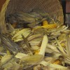 img_0828_47_1_000.jpg