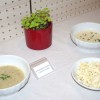 ajda_016.jpg