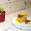 ajda_009.jpg